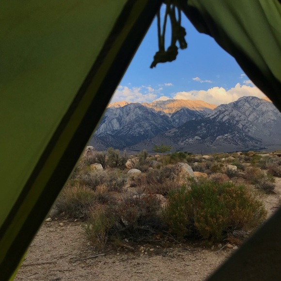 Meet your Posher, Lillian - Picture 1 of 1